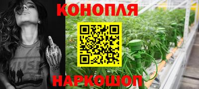 спиды Новозыбков