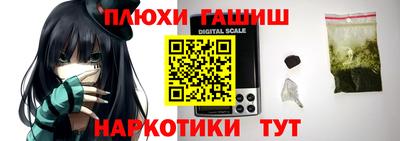 apvp Новодвинск