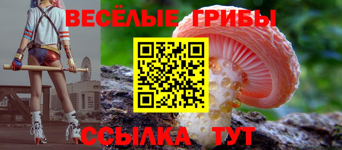 Галлюциногенные грибы Psilocybine cubensis Белебей