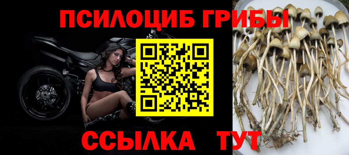 Белебей  Псилоцибиновые грибы мицелий  Галлюциногенные грибы мухоморы  Вход с VPN 
